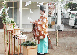 �H���̖����Ƃ��Ƒ��̔ɉh���F��